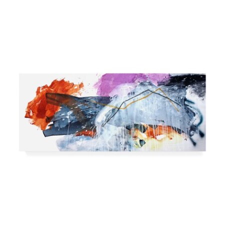 Trademark Fine Art Multicolored Breakthrough by Melissa McGil, 14x32, Multiple